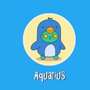 Meet your Posher, Anahi